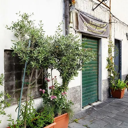 Apartment Casa Rosa Al Molo By Wonderful Italy